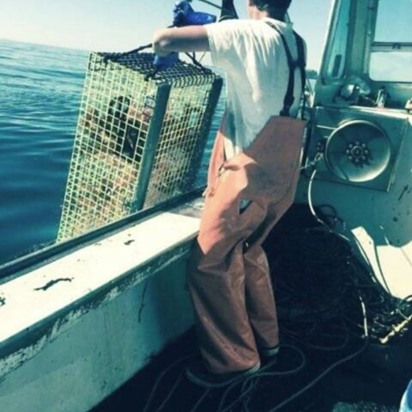 Meet your Posher, Shawn - Picture 1 of 1